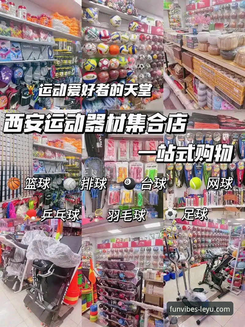 乐鱼体育平台一站式服务使用教程：从下载到体验全解析